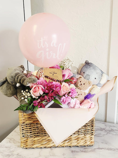 Baby girls welcome gift basket